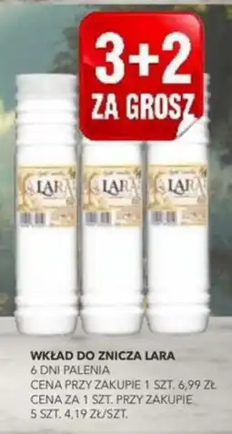 Top Market PSS Zgoda Wkład do znicza Lara oferta