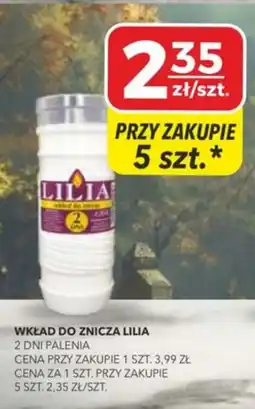 Top Market PSS Zgoda Wkład do znicza Lilia oferta