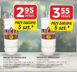 Top Market PSS Zgoda Wkład do znicza Lilia oferta