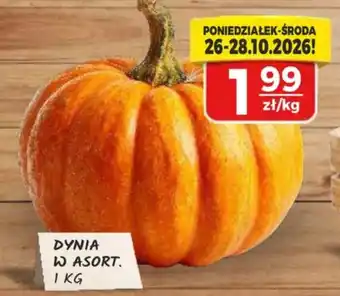 Dynia w asort.