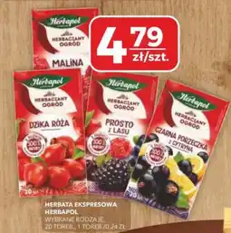 Top Market PSS Zgoda Herbata ekspresowa Herbapol oferta