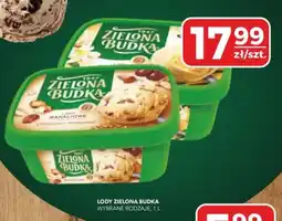 Top Market PSS Zgoda Lody Zielona Budka Wybrane Rodzaje oferta