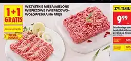 Biedronka Mięso mielone wieprzowe i wieprzowo-wołowe Kraina Mięs oferta