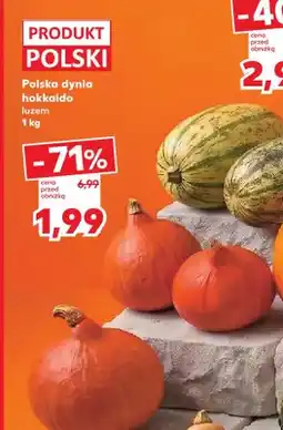 Kaufland Dynia hokkaido polska oferta