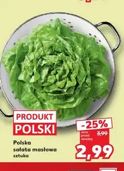 Kaufland Sałata masłowa polska oferta