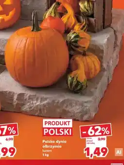 Kaufland Dynia olbrzymia polska oferta