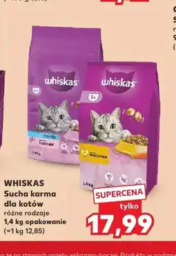 Kaufland Sucha karma dla kotów Whiskas oferta