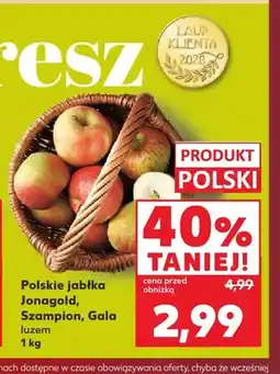 Kaufland Jabłka polskie Jonagold oferta