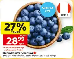 Auchan Borówka amerykańska SEKOYA XXL oferta