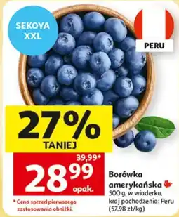 Auchan Borówka amerykańska oferta