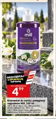 Twój Market Koncentrat do mycia i pielęgnacji nagrobków Mill oferta