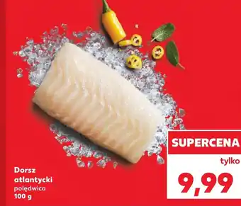 Dorsz