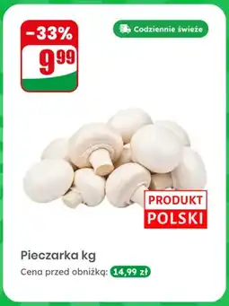 Dino Pieczarka oferta