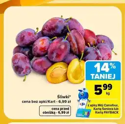 Carrefour Śliwki oferta