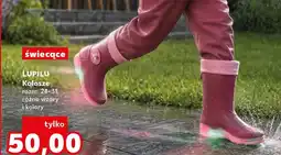 Kaufland Kalosze Lupilu oferta
