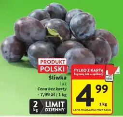 Intermarche Śliwka luz oferta