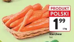 Intermarche Marchew luz oferta