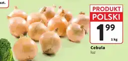 Intermarche Cebula luz oferta