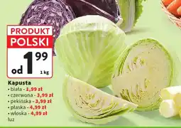 Intermarche Kapusta oferta