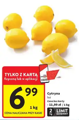 Intermarche Cytryna luz oferta