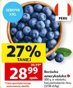 Auchan Borówka amerykańska Sekoya XXL oferta