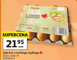 Auchan Jaja kur z wolnego wybiegu Auchan oferta