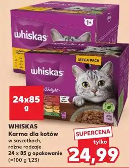 Kaufland Karma dla kota Whiskas oferta