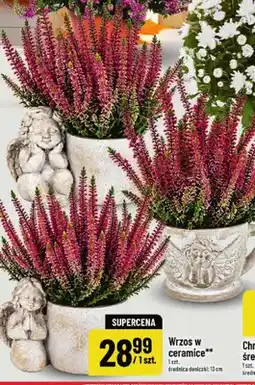 Polomarket Wrzos w ceramice oferta