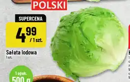 Polomarket Sałata lodowa oferta
