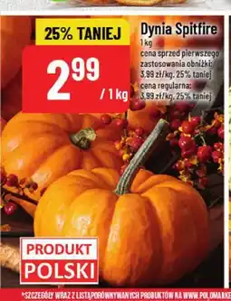 Polomarket Dynia Spitfire oferta