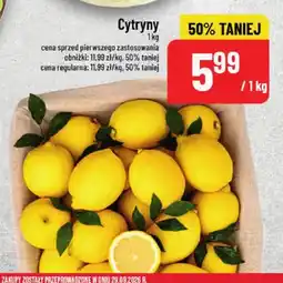 Polomarket Cytryny oferta