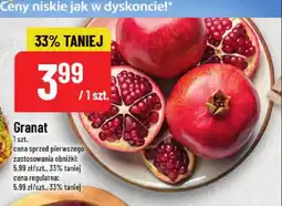 Polomarket Granat oferta