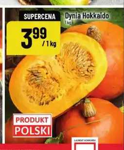 Polomarket Dynia Hokkaido oferta