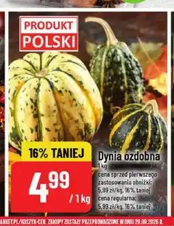 Polomarket Dynia ozdobna oferta