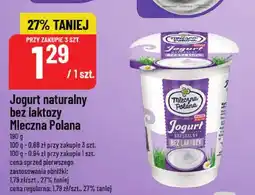 Polomarket Jogurt naturalny bez laktozy Mleczna Polana oferta