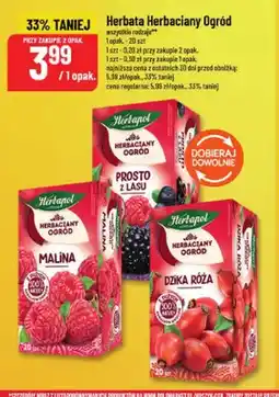 Polomarket Herbata Herbaciany Ogród malina Herbapol oferta