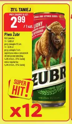Polomarket Piwo Żubr oferta