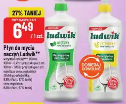Polomarket Płyn do mycia naczyń Ludwik miętowy oferta