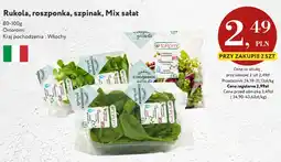Market Point Rukola Ortoromi oferta