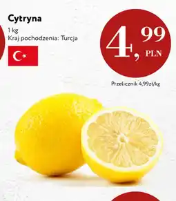 Market Point Cytryny oferta