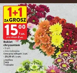 Intermarche Bukiet chryzantem 5 szt oferta