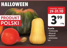 Intermarche Dynia Hokkaido luzem oferta