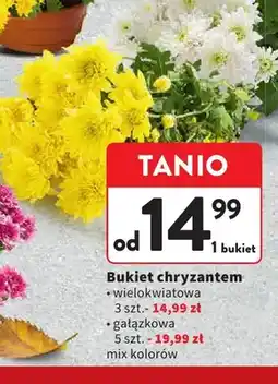 Intermarche Bukiet chryzantem wielokwiatowa 3 szt oferta