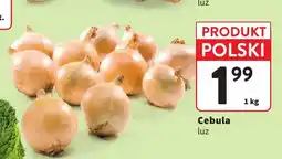 Intermarche Cebula polska oferta