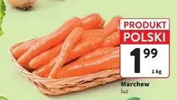 Intermarche Marchew polska oferta