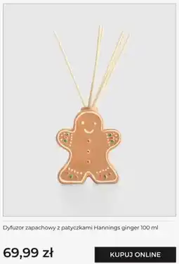 Home&You Dyfuzor zapachowy z patyczkami Hannings ginger home & you oferta