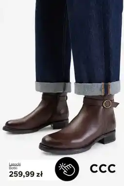 CCC Botki Lasocki oferta