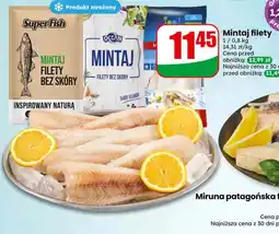 Dino Mintaj filety oferta