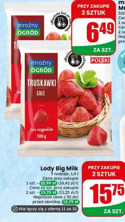 Dino mroźny OGRÓD TRUSKAWKI CAŁE oferta