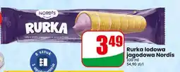 Dino Rurka lodowa jagodowa Nordis oferta